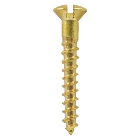 200 x TIMCO Solid Brass Round Head Woodscrews - 6 x 1