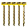 1000 x TIMCO Collated Flooring Screws - 4.2 x 55