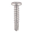 500 x TIMCO Self-Drilling Metal Framing Low Profile Pancake Head Exterior Silver Screws - 5.5 x 19