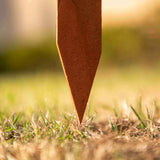 Outsunny Pack of 24 Wooden Border Fences, Garden Fixed Picket Fence for Lawn Edging, Flowerbed, 60L x 1D x 34H cm, Brown