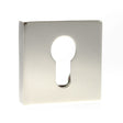 Senza Pari Euro Escutcheons on Flush Square Rose - Polished Nickel - Pair