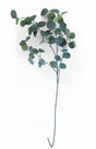 Blue Eucalyptus Stem 90cm