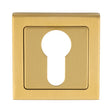 ESCUTCHEON - EURO PROFILE - PUSH-ON SQUARE ROSE_x005F
 - SATIN PVD - EACH