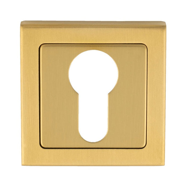 ESCUTCHEON - EURO PROFILE - PUSH-ON SQUARE ROSE_x005F
 - SATIN PVD - EACH