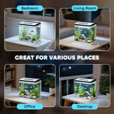 PawHut 13L Glass Aquarium Fish Tank with Filter, LED Lighting, for Betta, Guppy, Mini Parrot Fish, Shrimp, 29 x 20 x 30.5cm