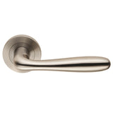 PENNINSULA LEVER ON SPRUNG SCREW-ON ROUND ROSE - SATIN STAINLESS STEEL - PAIR