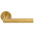 TREVIRI LEVER ON SPRUNG SCREW-ON ROUND ROSE - Satin PVD - PAIR