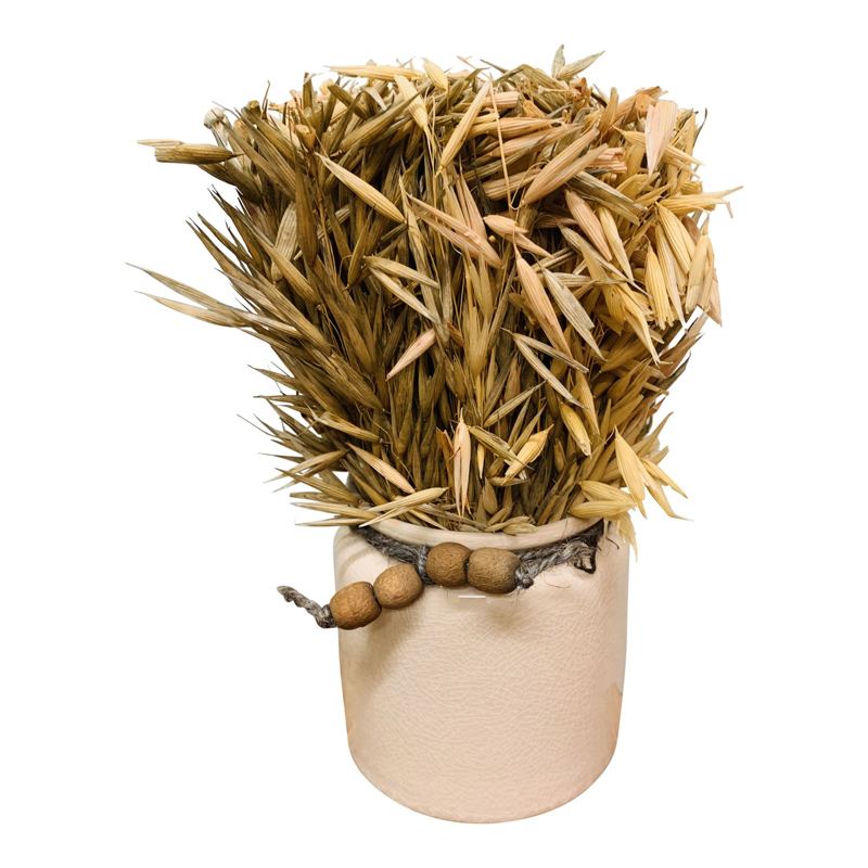 Set of 3 Dried Grasses In Ceramic Pots