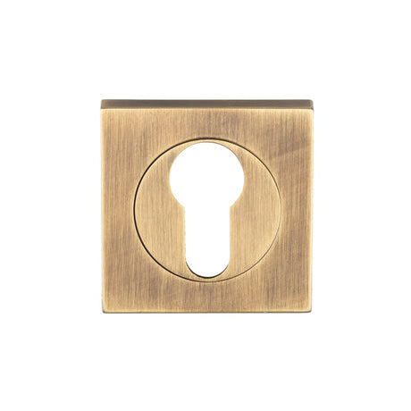 ESCUTCHEON - EURO PROFILE - SQUARE ROSE - ANTIQUE BRASS - EACH