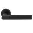 TREND LINES LEVER ON SPRUNG SCREW-ON ROUND ROSE - Matt Black - PAIR