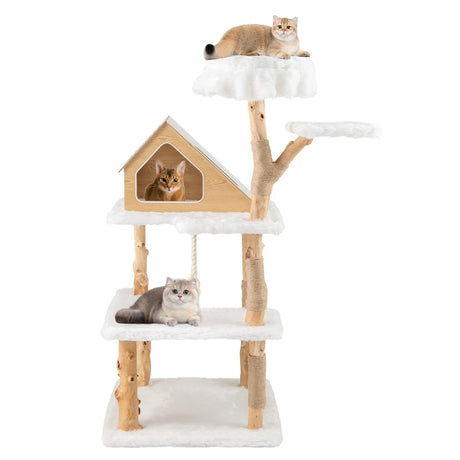 150cm Tall Solid Wood Cat Tree with 2 Perches and Condo-White