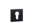 Tupai Rapido Curva/QuadraLine Euro Escutcheons on Square Rose - Pearl Black - Pair