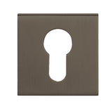 Tupai Rapido Curva/QuadraLine Euro Escutcheons on Square Rose - Titanium - Pair