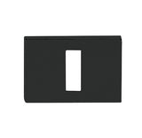 Tupai Rapido RetaLine/VersaLine Key Escutcheons on Long Rose - Pearl Black - Pair