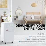 HOMCOM 12L/Day Dehumidifier for Home, Laundry Room, Bedroom, Basement, Electric Moisture Air De-Humidifier with 4 Modes, Continuous Drainage, 24H Timer, Digital Humidity Display