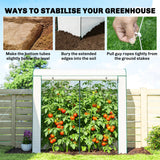 Outsunny Mini Greenhouse, Garden Tomato Growhouse with Roll-Up Door and 2 Mesh Windows, PE Cover, 200 x 75 x 188 cm, White
