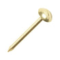 8mm ‘322e’ Decorative Nail – Brass Plated - 25mm - Box 500