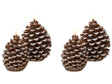 Set of 4 LED Decoration Brown  Paraffin Plastic Candles Pinecone Seasonal Accessory Home Dcor with Lights Beliani
