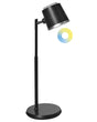 Office Desk and Wall Lamp 2-in-1 Black Table Lighting Reading Computer Lamp Detachable Arm Stepless Dimmer CCT Function Beliani