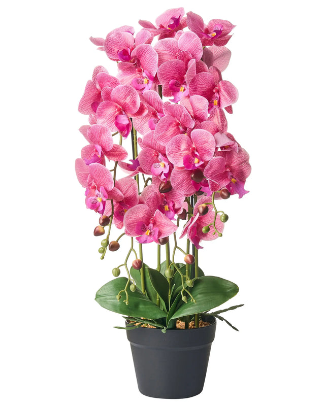 Artificial Potted Plant Pink and Green Synthetic Material 65 cm Orchidea Plant Decorative Indoor Accessory Beliani