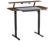 Adjustable Electric Desk Brown Tabletop Black Steel Frame and Legs 120 x 60 Stand and Sit Home Office Stand and Sit Mouse Pad Modern Scandinavian Design Beliani