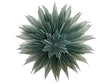Hanging Decoration Star Green Paper Shade Star Shaped Christmas Theme Decoration Beliani