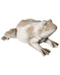 Decorative Garden Figurine Beige MgO Frog 36 x 50 x 23 cm Accent Piece Decoration Garden Terrace Patio Beliani