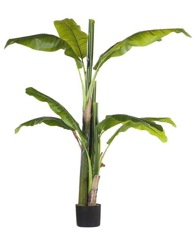 Artificial Potted Banana Tree Green and Black Synthetic 154 cm Material Decorative Indoor Accessory Beliani