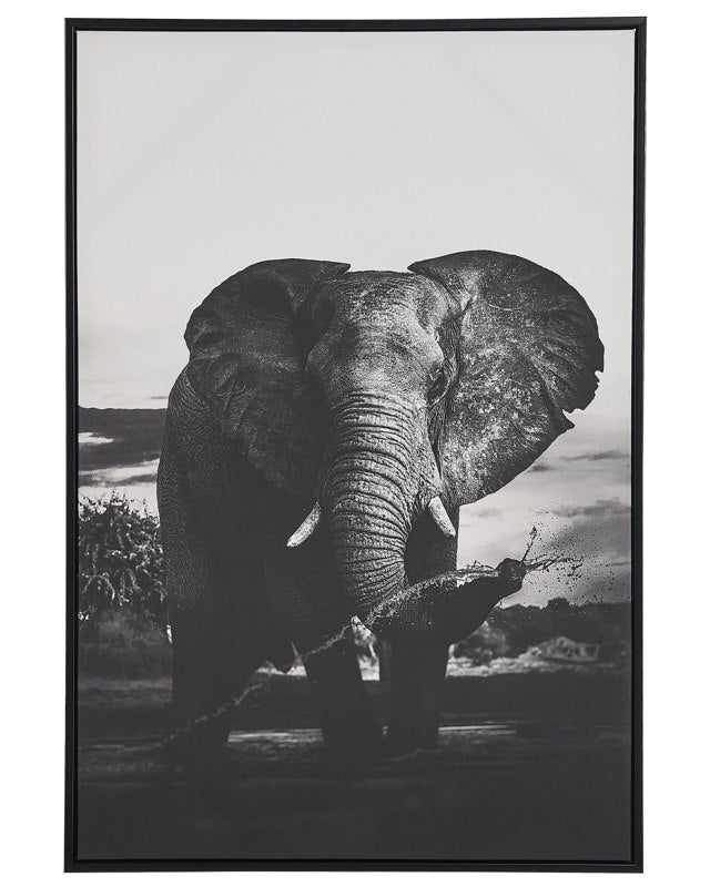 Framed Canvas Wall Art Grey 63 x 93 cm Elephant Print Animal Motif Modern Wall Décor for Living Room Bedroom Beliani