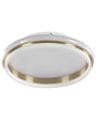 Ceiling LED Lamp Gold Metal 42 cm Acrylic Opal Ring Shade LED Warm White Light  Flush Lighting Beliani