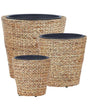 Set of 3 Plant Pots Natural Water Hyacinth Weave Round Synthetic Inserts Indoor Outdoor Boho Rustic Style Beliani