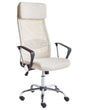 Executive Office Chair Beige Mesh Gas Lift Height Adjustable Full Swivel and Tilt Beliani