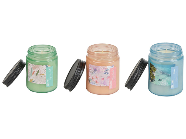 Set of 3 Scented Candles Multicolour 100% Soy Wax Cotton Wick Glass Fresh Floral Fragrance Sage Sea Salt Ocean Aloha Orchid Beliani