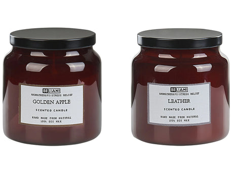 Set of 2 Scented Candles 100% Soy Wax Cotton Wick Glass Fresh Fragrance Golden Apple/Leather Absolute Alchemy Beliani