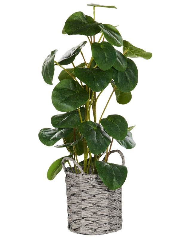 Artificial Potted Plant Green and Black Synthetic Material 55 cm Pilea Pancake Plant Decorative Indoor Accessory Beliani