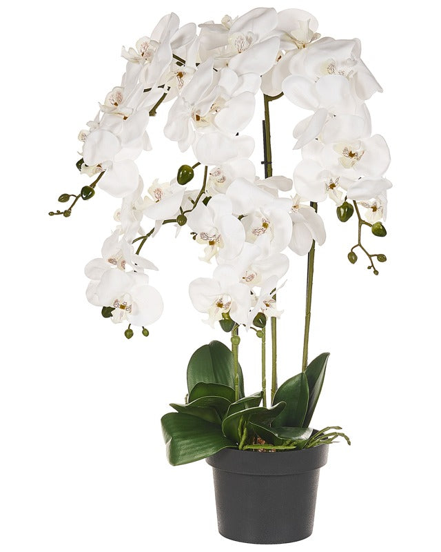 Artificial Potted Plant White and Green Synthetic Material 63 cm Orchidea Plant Decorative Indoor Accessory Beliani