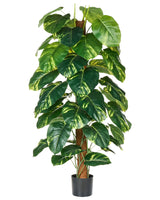 Artificial Potted Dieffenbachia Plant Green and Black Synthetic Material 152 cm Decorative Indoor Accessory Beliani