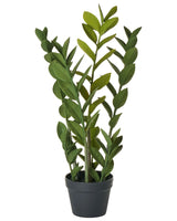 Artificial Potted Zamiifolia Plant Green and Black Synthetic Material 76 cm Decorative Indoor Accessory Beliani