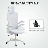 Vinsetto Multi-Adjustable Office Chair, with Lumbar Support, Headrest and Mesh Back - White