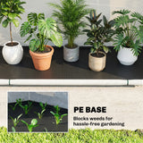 Outsunny Foldable Small Greenhouse, Portable Green House Mini Greenhouse with Zipper Door, PE Base, 200 x 80 x 164 cm, Green