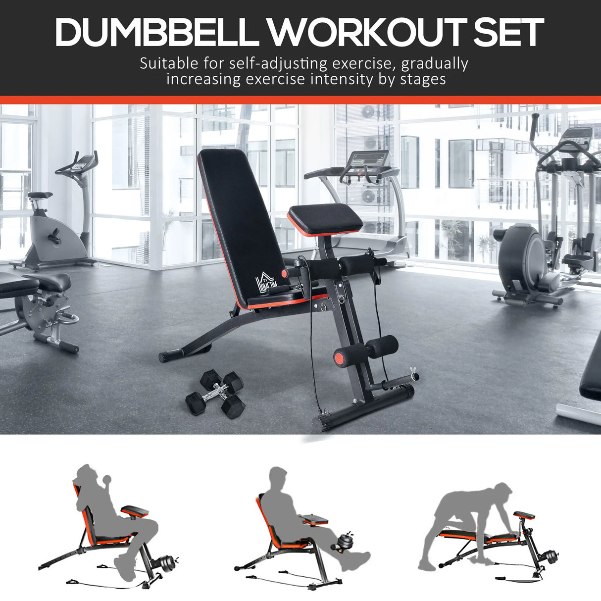 HOMCOM Adjustable Reclined Dumbbell Bench Weight Lifting Set Folding Sit Up Ab Bench Home Training Gym Multiuse Workout Exercise Fitness with 2 x 4kg Dumbbells