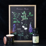 Poisonous Plants Framed Wall Art Print