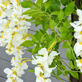HOMCOM Artificial Realistic White Wisteria Tree Faux Decorative Plant in Nursery Pot for Indoor Dcor, 160cm