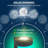 Outsunny Solar Lights Outdoor Garden Stake 8 Pack Pathway Lighting, Solar Stake Lights with Auto On/Off LED, IP44 Waterproof Plastic Outdoor Garden Lighting for Path, Patio and Landscape