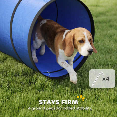 PawHut Dog Tunnel, 300 x 50 cm, Foldable Play Tunnel with 4 Pegs and Bag, Tear-Resistant Outdoor Dog Agility Equipment, Blue