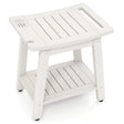 HIPS Shower Bench Seat with Handle Shower Head-White