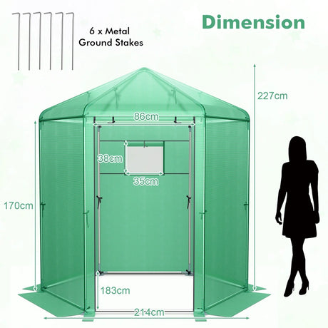 Walk-In Hexagonal Greenhouse with PE Cover and Metal Frame