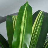 Outsunny Set of Two Artificial Dracaena Plants