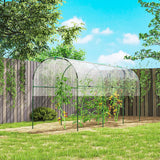 Outsunny Tunnel Tomato Greenhouse with 4 Hoops and Top Tap, Pointed Bottom and Guy Ropes, 400 x 123 x 171 cm, Clear