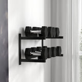 SPORTNOW Wall-Mounted Dumbbell Rack, 2-Tier Weight Stand, Space-Saving and Multi-Functional Steel organiser for Home Gym, Black